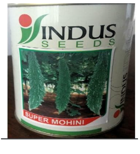 SUPER MOHINI BITTERGOURD ( सुपर मोहिनी करेला )