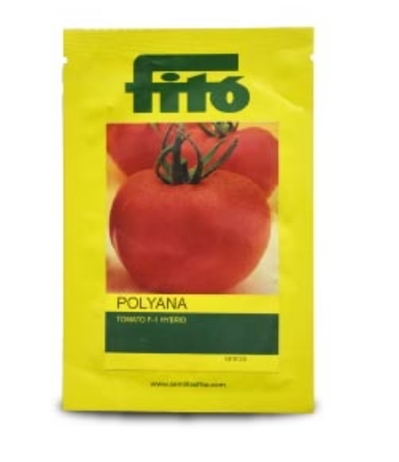 POLYANA TOMATO ( पोलियाना टमाटर )