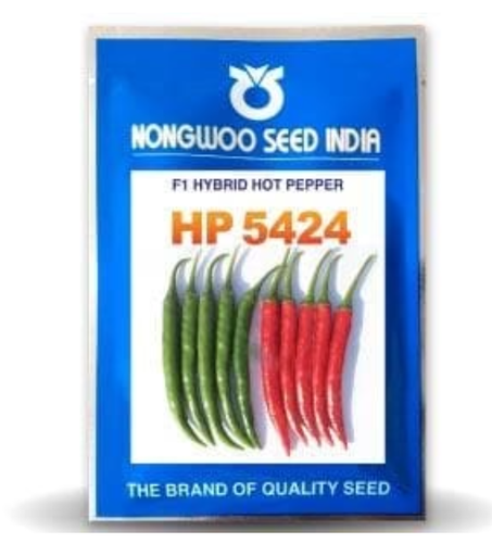 HP5424 CHILLI SEEDS